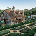 Beach Plum Farm