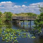 Everglades National Park