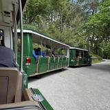 Eureka Springs Tram Tours
