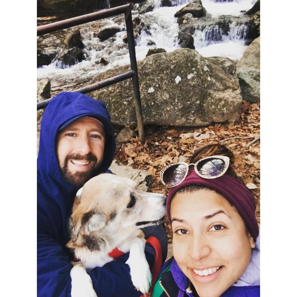 Hiking Crabtree Falls in Charlottesville, VA with our adventure buddy and peanut butter connoisseur, Bella