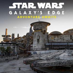 A Day at Galaxy's Edge!