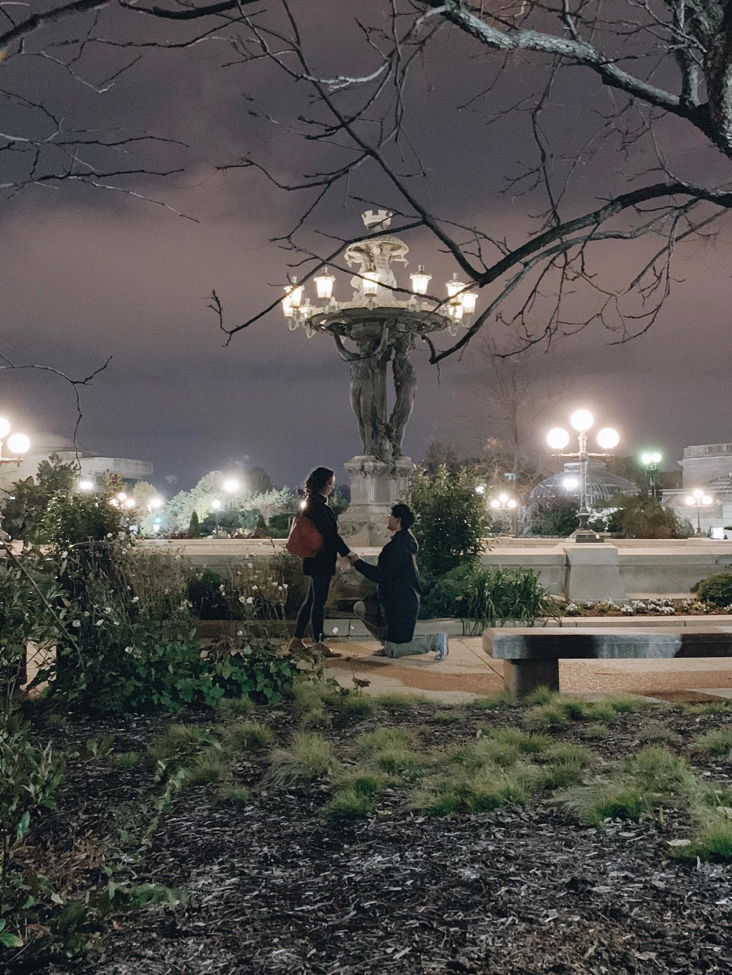 the proposal! At the Bartholdi Fountain