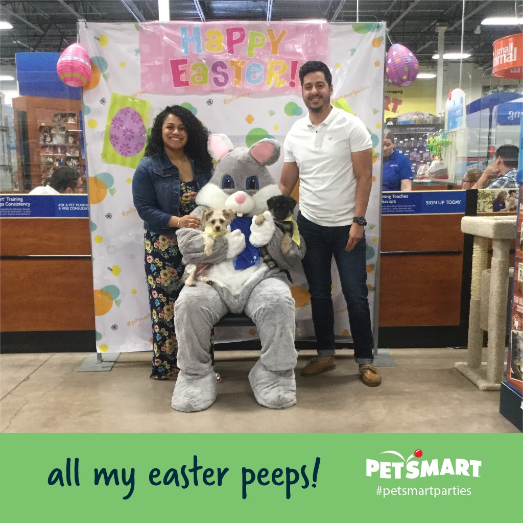 Our first "family shoot" with our fur babies.