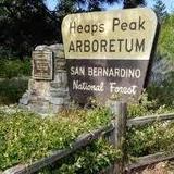 Heaps Peak Arboretum