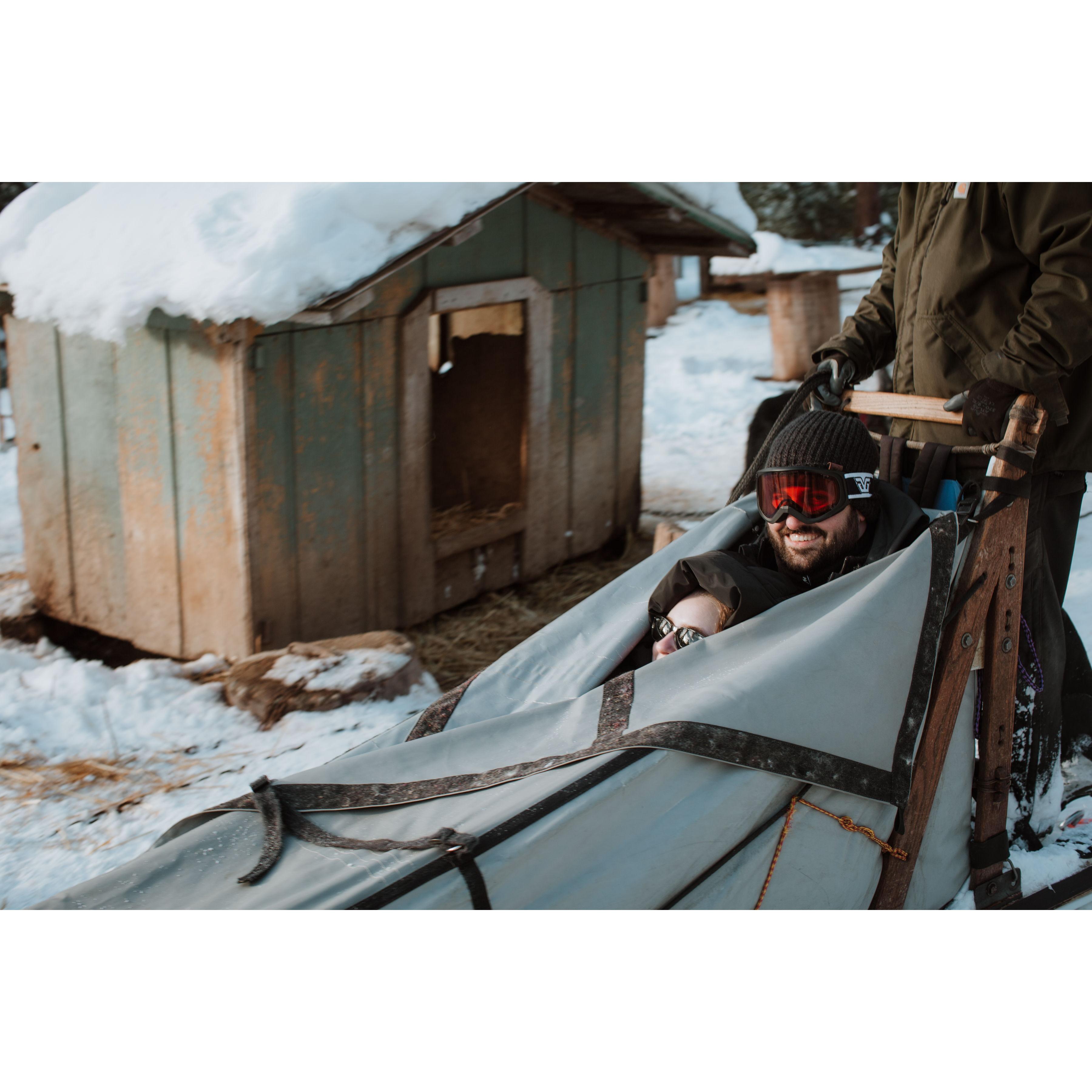 Dog sledding in Montana. If you look closely, you can see Shannon was there too! (Photo credit: Kristen Fortier)