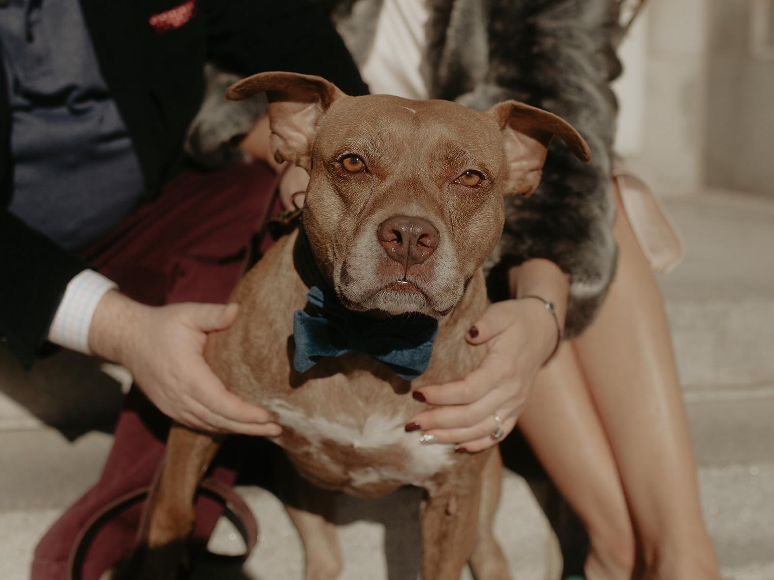 The Wedding Website of Gabrielle Salomone and Brendan Towell