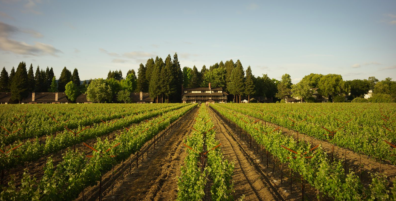 The Wedding Website of Kirbee Fruehe and Robert McCreary