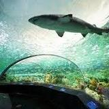 Ripley's Aquarium of Canada