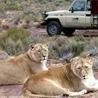 Aquila Private Game Reserve