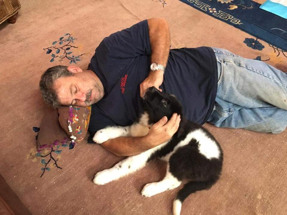 Joe hates dogs.