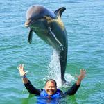Dolphin Explorer