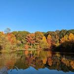 Prospect Park