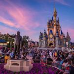 Magic Kingdom Park