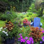 Bayard Cutting Arboretum