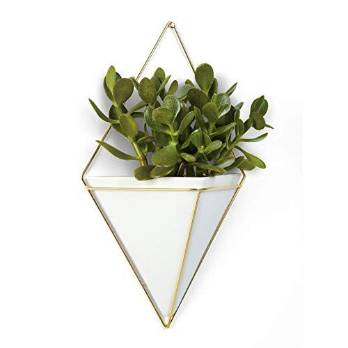 Umbra Trigg Hanging Planter Vase & Geometric Wall Decor Container - Great For Succulent Plants, Air Plant, Mini Cactus, Faux Plants and More, White Ceramic/Brass