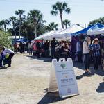Beaches Green Market