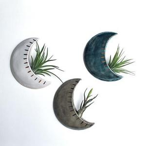 Moon Shaped Plant Holder Wall Hanging - Medium