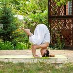 Daily 11 AM Meditation and Yoga in the Courtyard