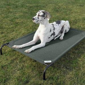XL Raised Dog Bed