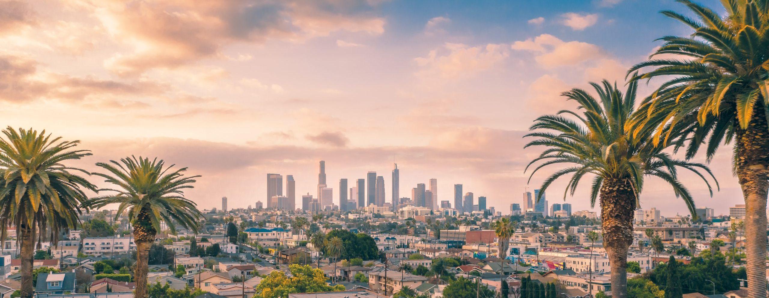 The Wedding Website of Michael Rosenberger and Ryan Steinke