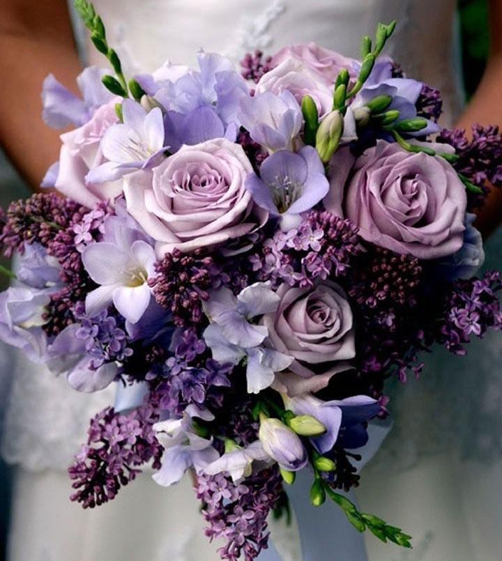 444381e3-e130-4f91-baf8-b8de91a0e550