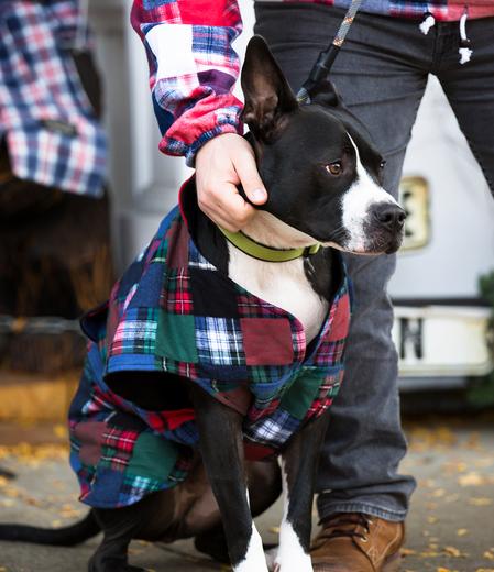 FLANNEL DOG JACKET