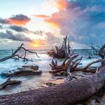 Big Talbot Island State Park