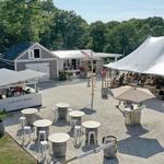 Cape Cod Winery