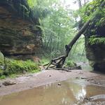 Turkey Run State Park