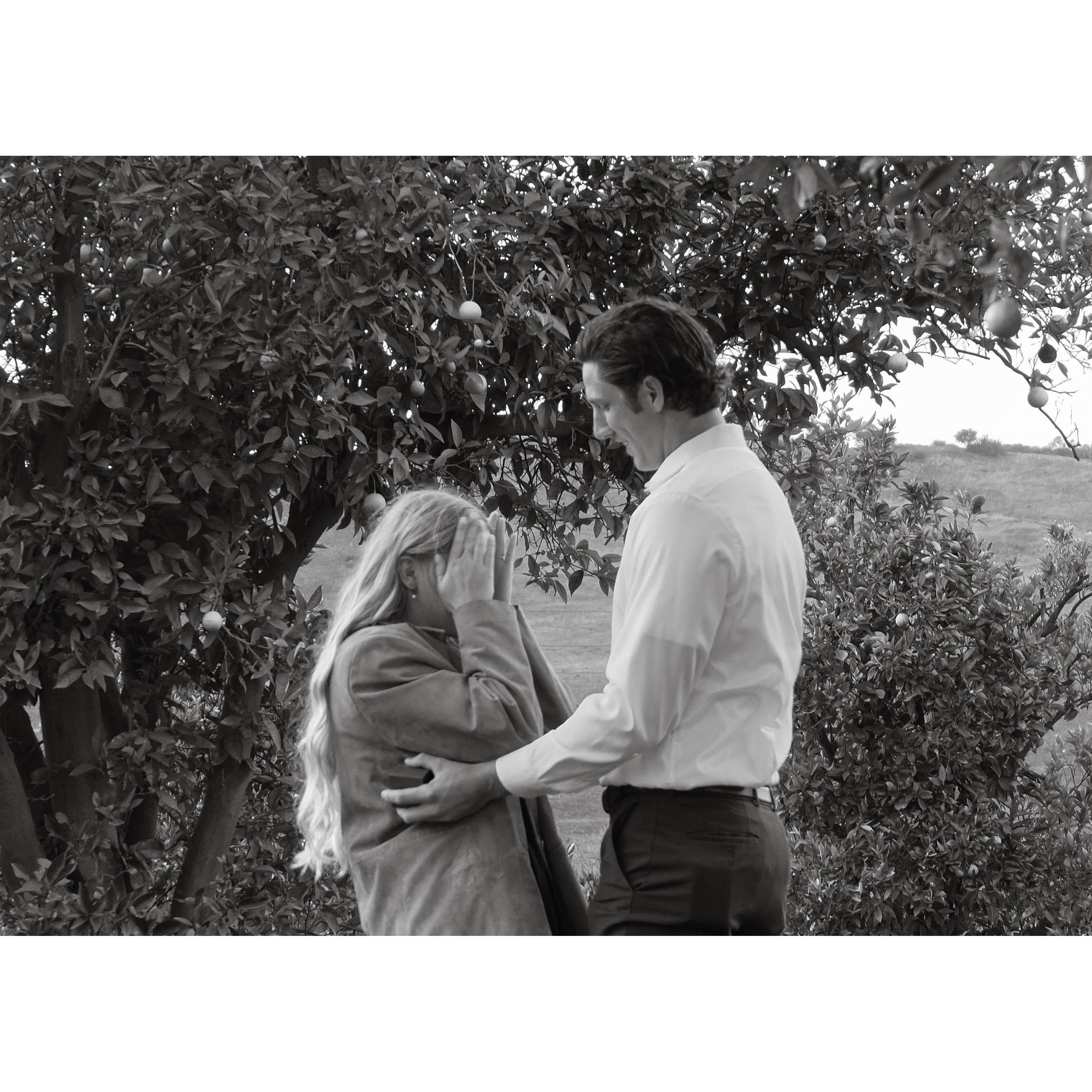 THE BEST DAY OF OUR LIVES