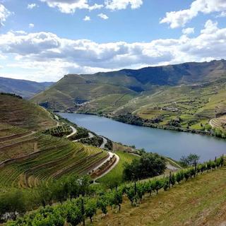 Douro Valley - Historical Tour with Lunch for 2 - Portugal