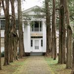 Rowan Oak