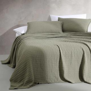 Essential Cotton Jacquard Coverlet