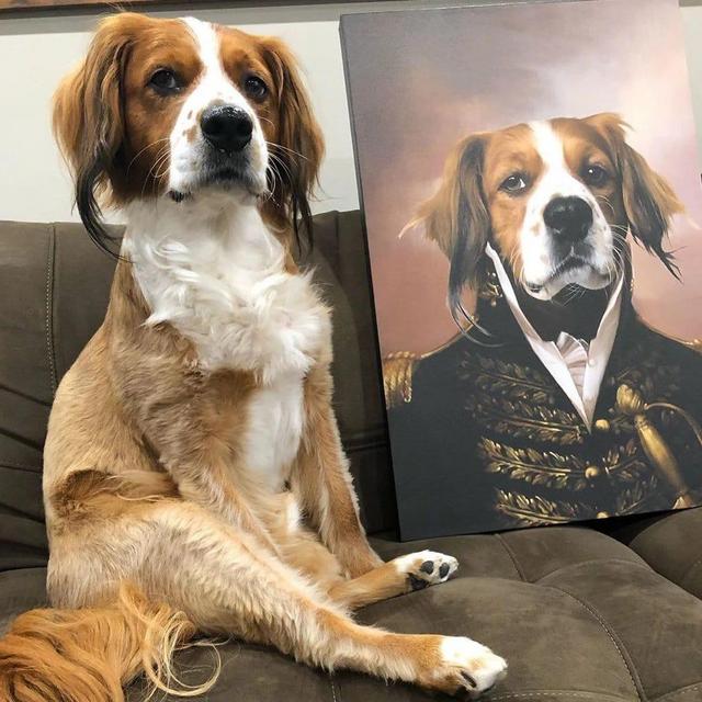 Custom Pet Portrait Canvas