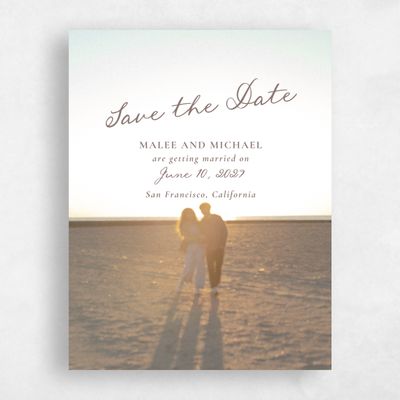Taupe, Brown Wedding Save the Date - Spina Photo