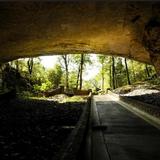 Cathedral Caverns State Park