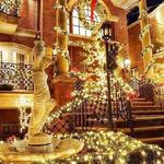 The famous Christmas lights in Dyker Heights (Brooklyn)