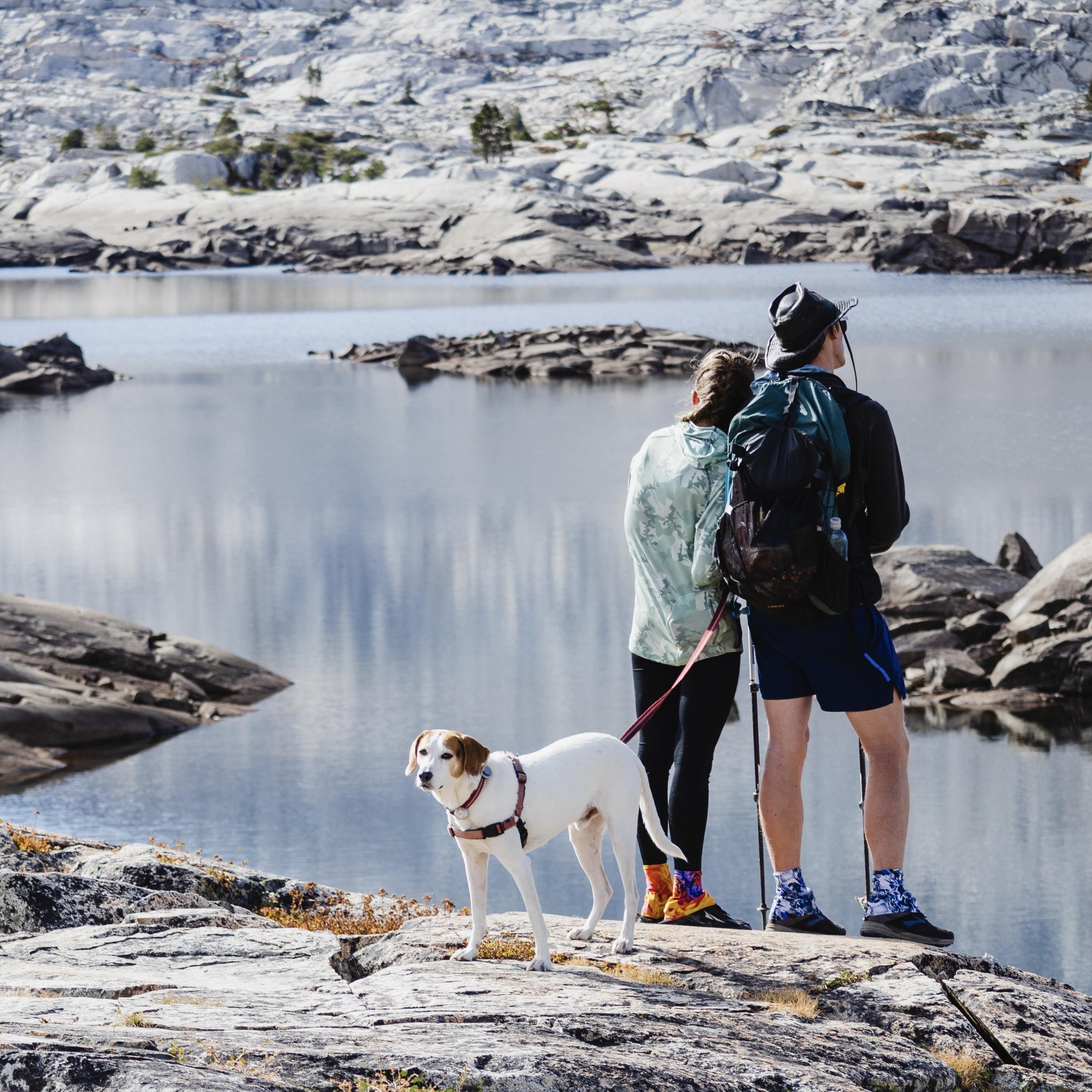 Backpacking with Banjo in the beautiful Desolation Wilderness of California.
