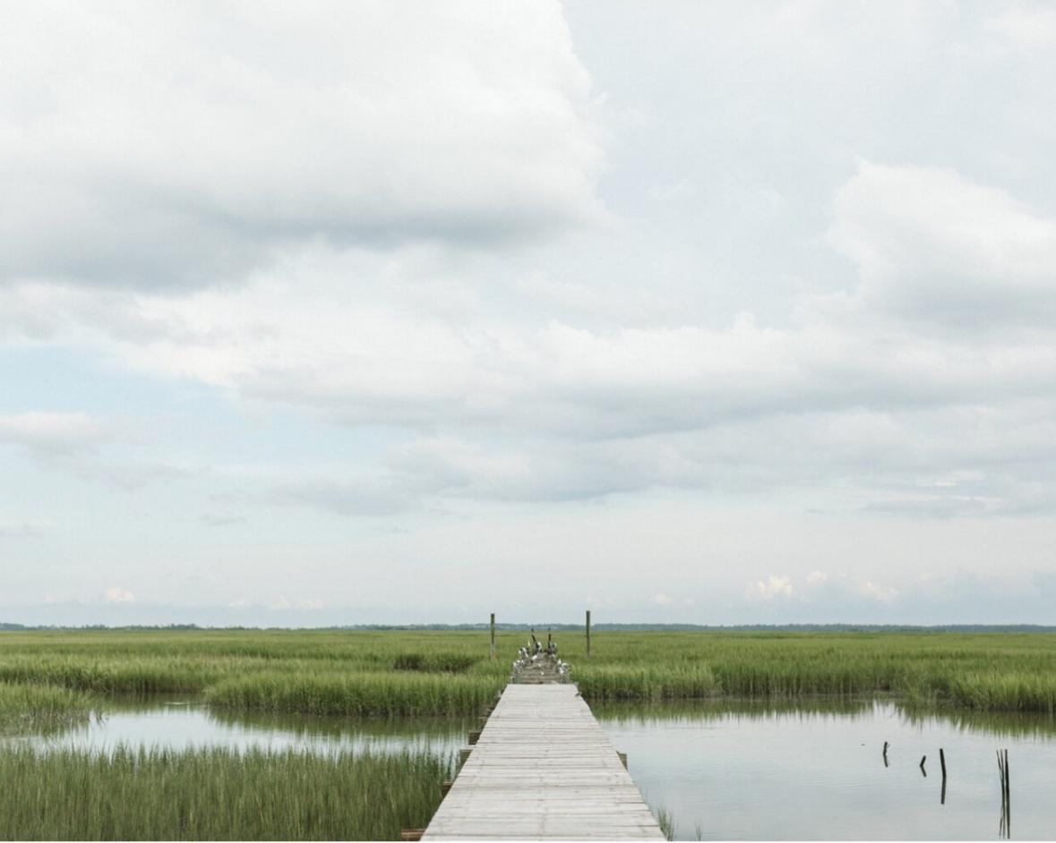 The Wedding Website of Ashley Scott and Forrest Morrow