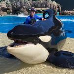 SeaWorld San Diego