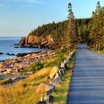 Drive Park Loop Road