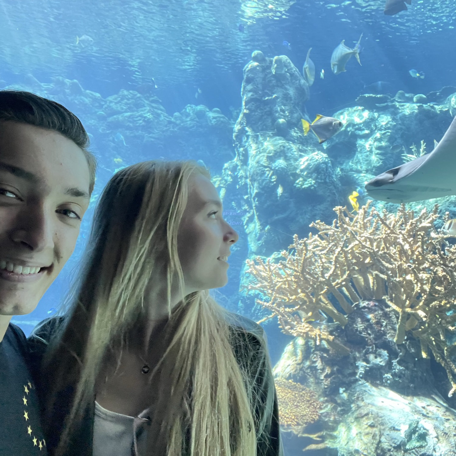 Aquarium day 🐠
