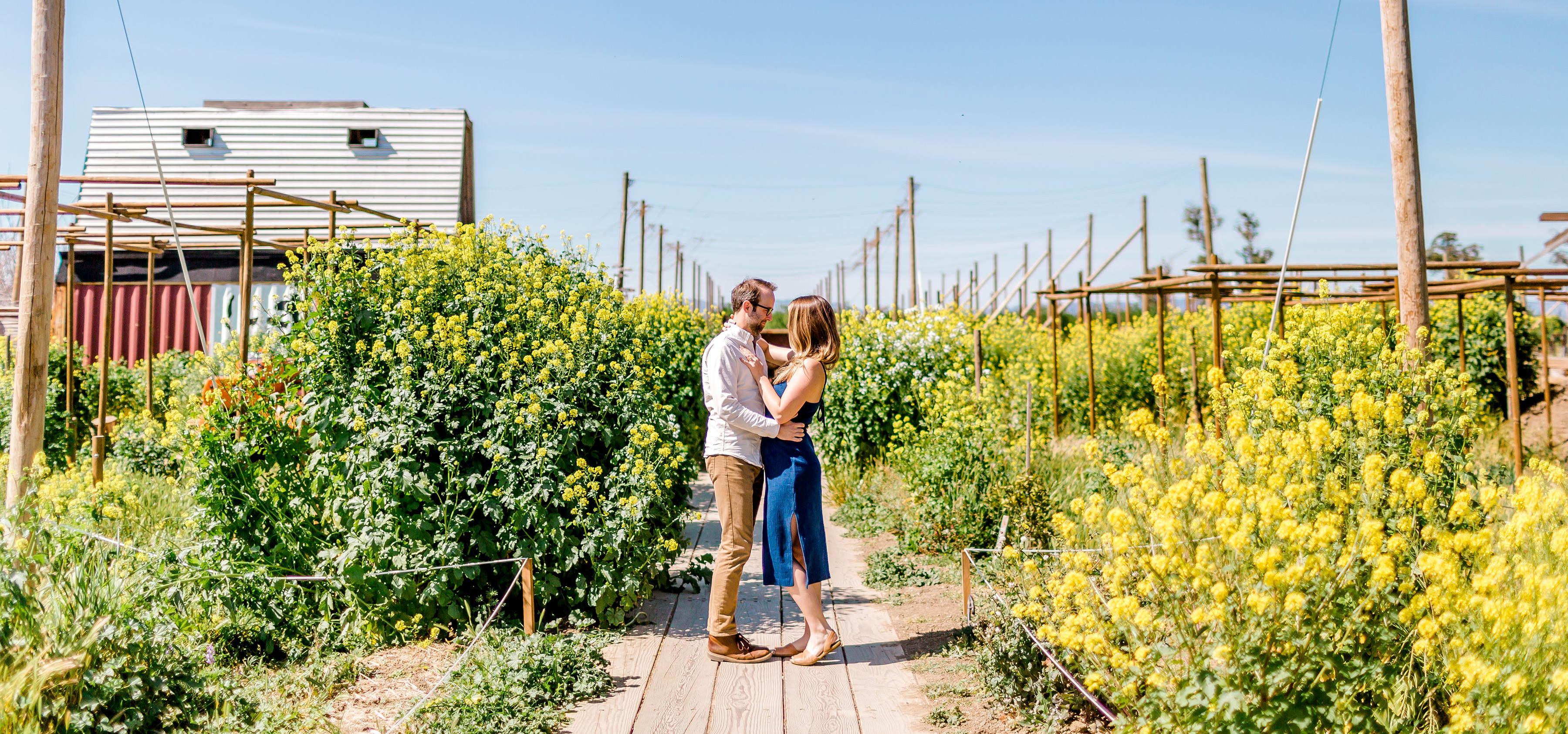 The Wedding Website of Allison Howery and Chad Howery