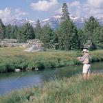 Fly Fishing