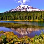 Mount Rainier National Park