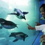 Mystic Aquarium
