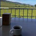 Gorreana Tea Factory
