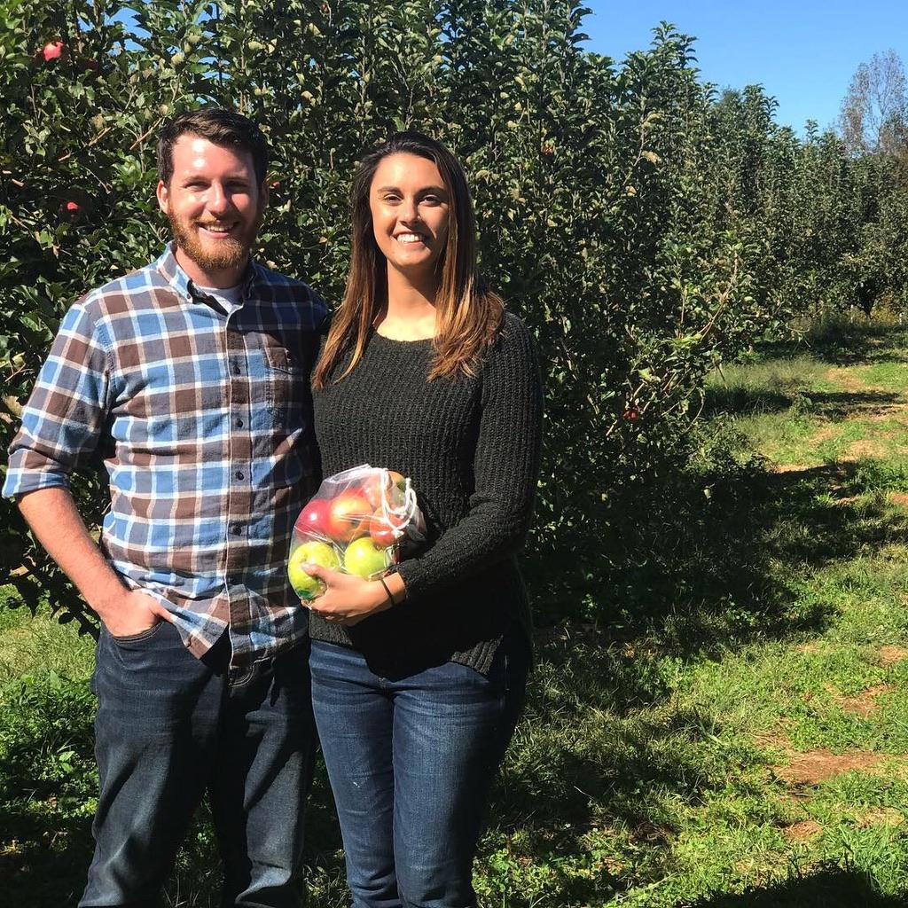 Apple Picking in Northern Georgia