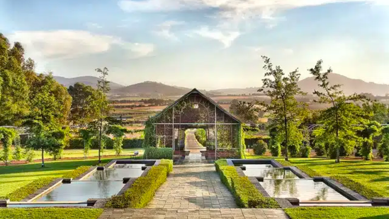 The Wedding Website of Tamzyn Cupido and Chris Kerrigan