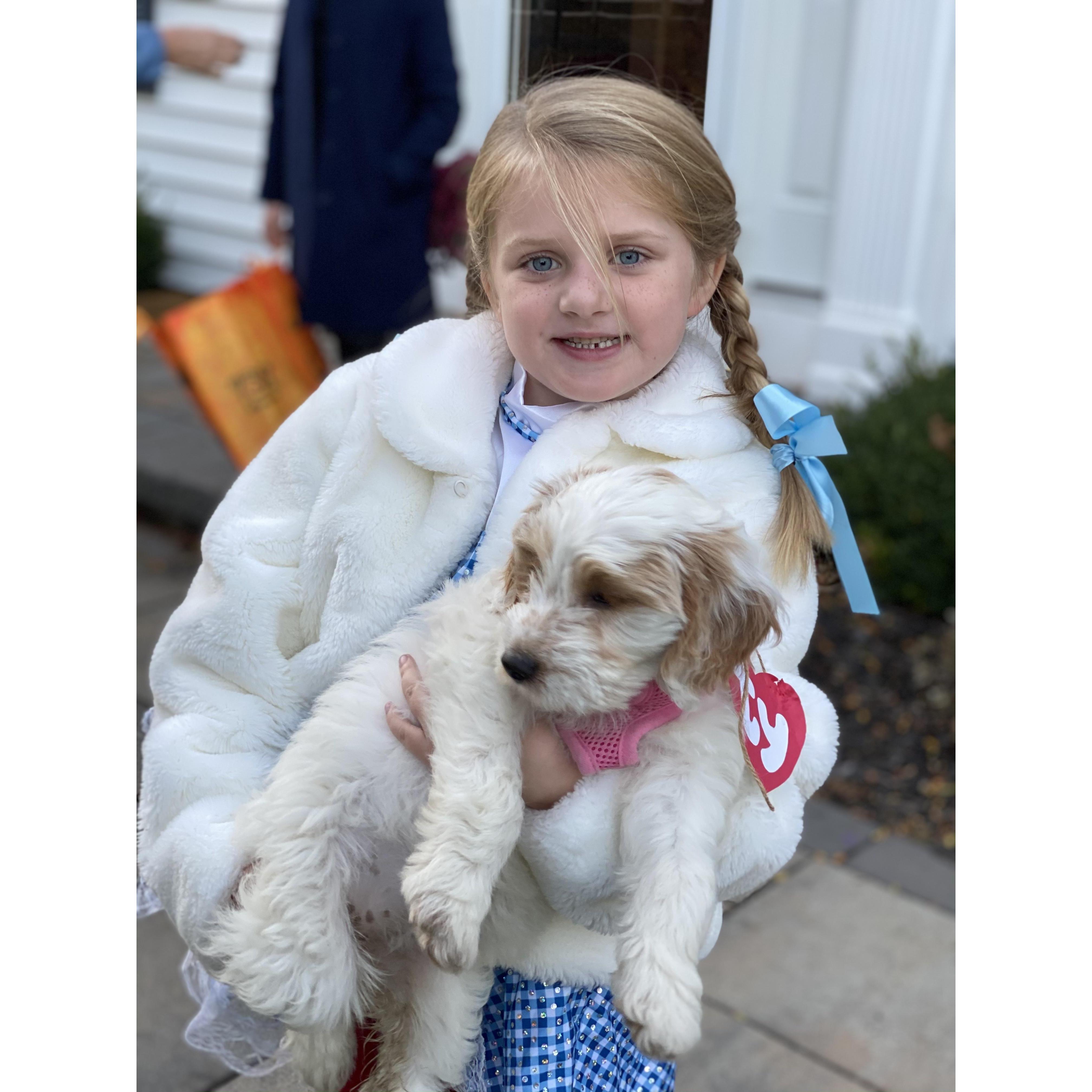Annie finally got herself a puppy!